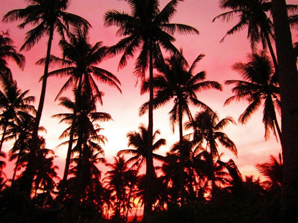 Balay De La Rama Bed & Breakfast Legazpi Exteriér fotografie
