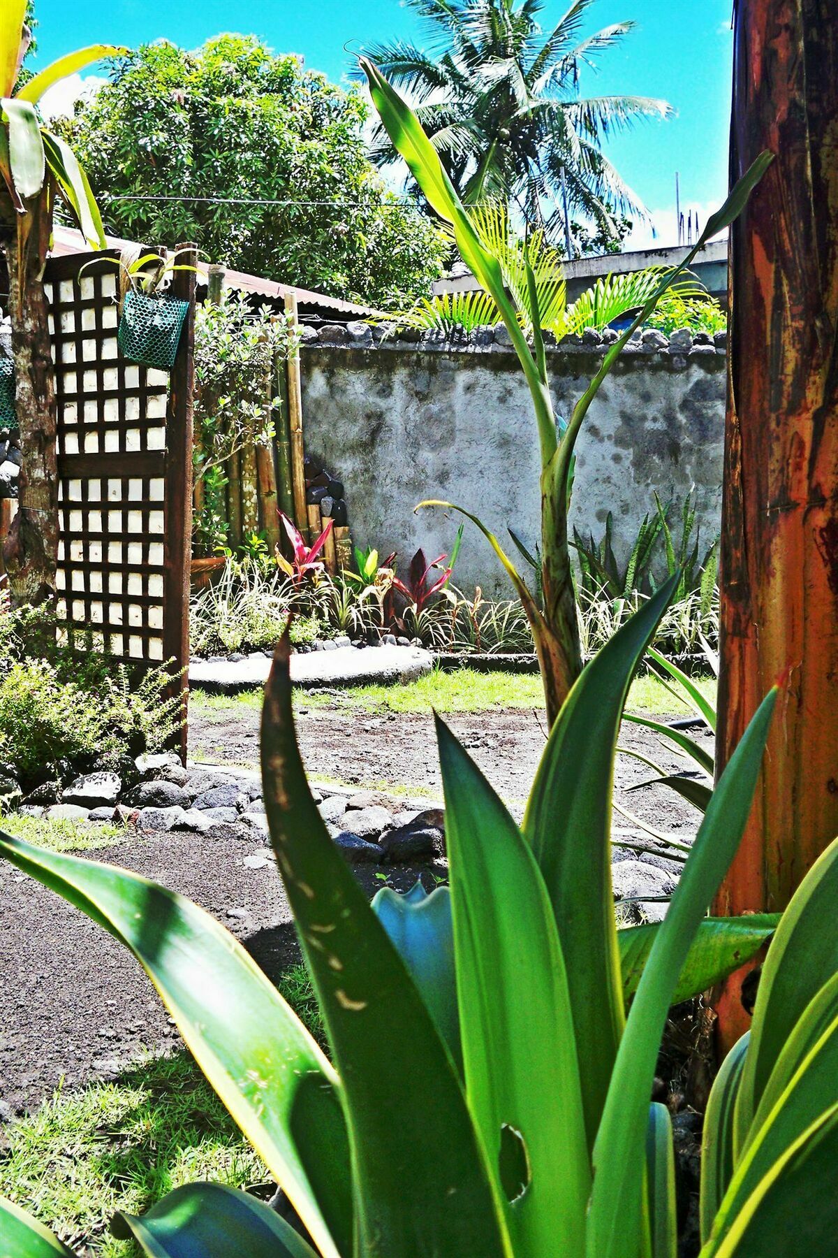 Balay De La Rama Bed & Breakfast Legazpi Exteriér fotografie